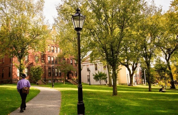 Brown University Summer Program | IE University