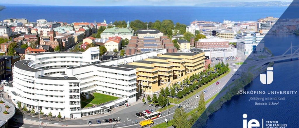Paper Development Workshop held by University of Jönköping (Sweden)