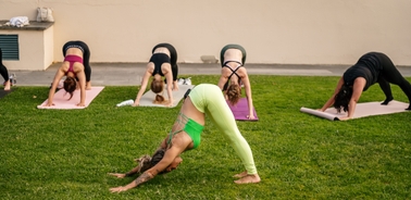 A group of women practicing yoga in various poses on mats in a green outdoor space.