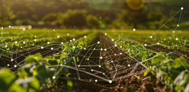A high-tech agricultural field with plants and a digital network overlay.