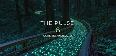 A serene pathway illuminated by glowing blue lights meandering through a dark forest.