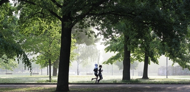 A peaceful morning scene with two people jogging under lush trees in a park.