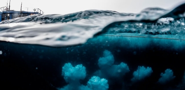 An underwater scene showing bubbles rising from the ocean floor beneath a boat.