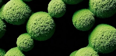 The image features spherical objects with a fuzzy texture in vibrant green colors against a dark background.