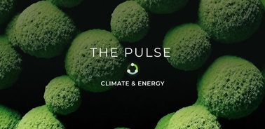 A close-up view of green spherical shapes representing themes of climate and energy.