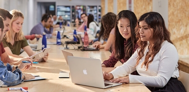A group of people collaborating and working on laptops in a modern office space.