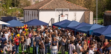 A lively outdoor event with numerous tents and a large crowd of people enjoying the festivities.