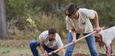 A group of people planting a tree in a field.