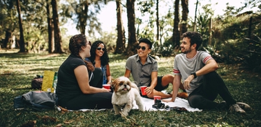 A group of friends enjoying a picnic in a sunny park with a dog.