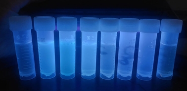 A row of test tubes glowing under UV light.