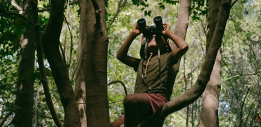 A child sitting on a tree branch, using binoculars to observe the surroundings.