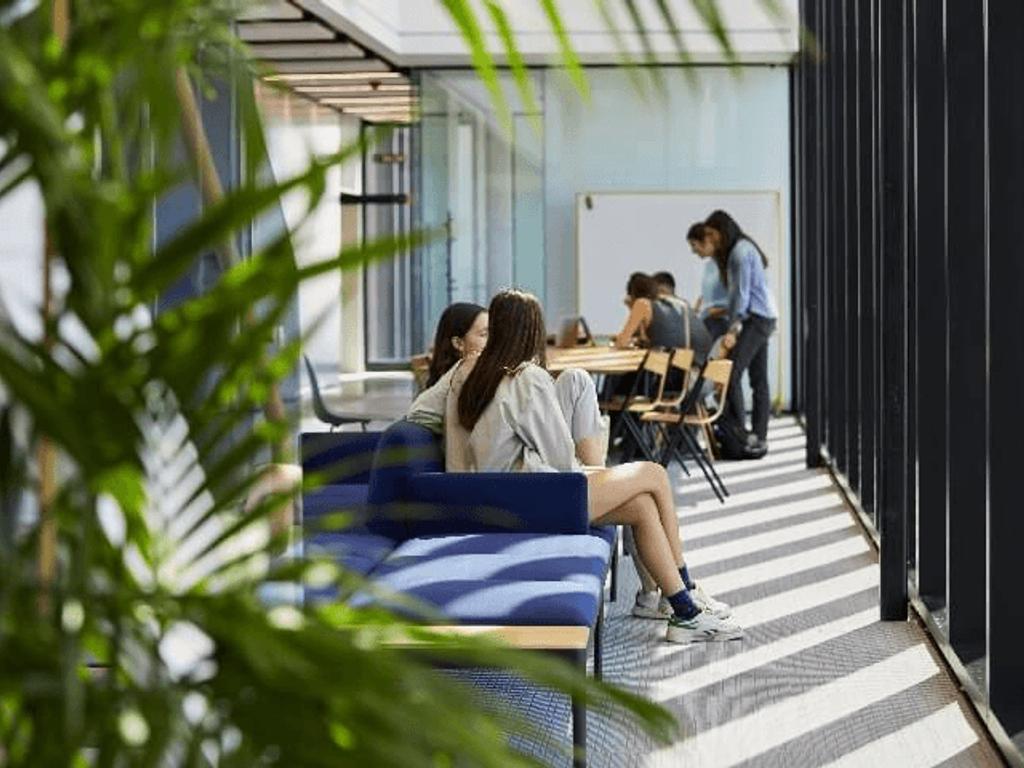 A modern study area with students sitting and working amid natural light and greenery.