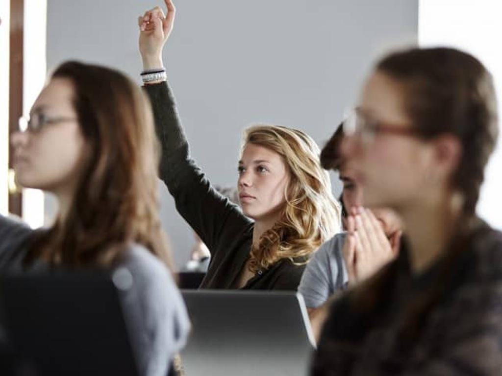 Compositae newsletter, image size:1024x768