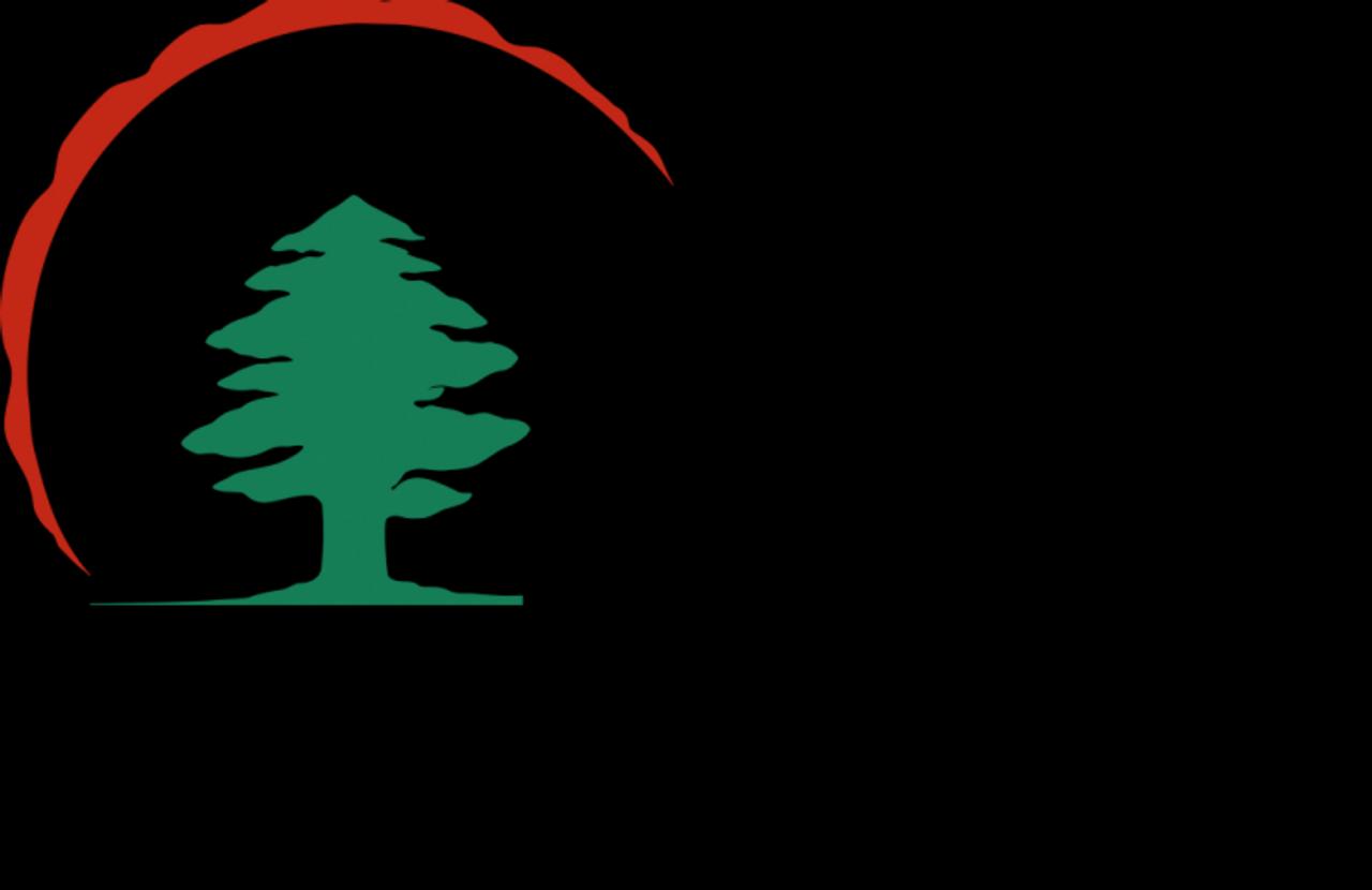 AMERICAN UNIVERSITY OF BEIRUT