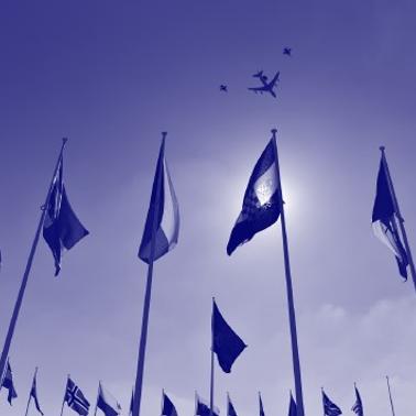 A monochrome image of multiple flags on poles against a sky with an airplane flying overhead.