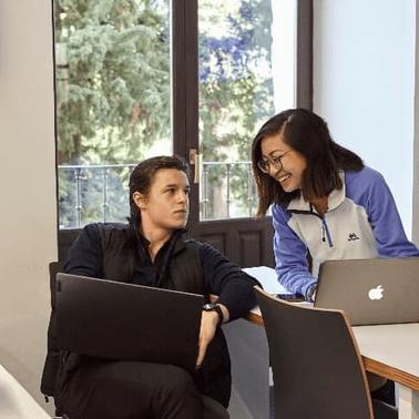 Bachelor in Business Administration - Year 2 -  Study plan