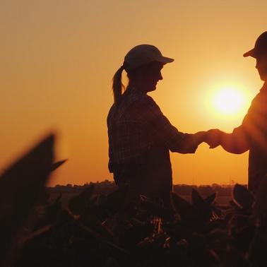 people in a sunset