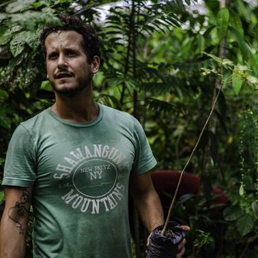A man standing in a lush green forest holding a small plant with gardening gloves on.