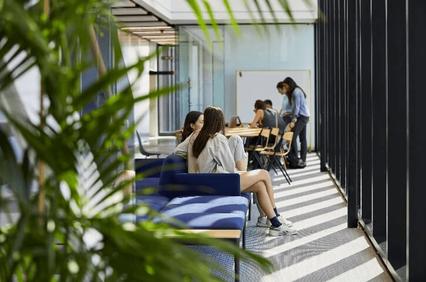 A modern study area with students sitting and working amid natural light and greenery.