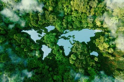 Aerial view of a lush forest with patches of water reflecting the sky, surrounded by mist.