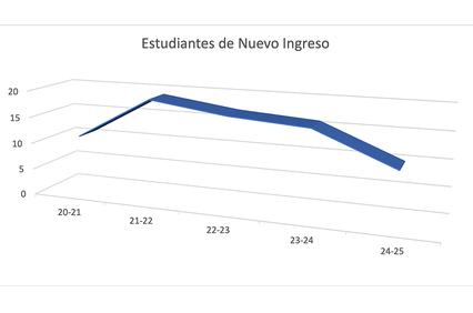 A line graph showing the number of new students from the academic years 2020-2021 to 2024-2025.