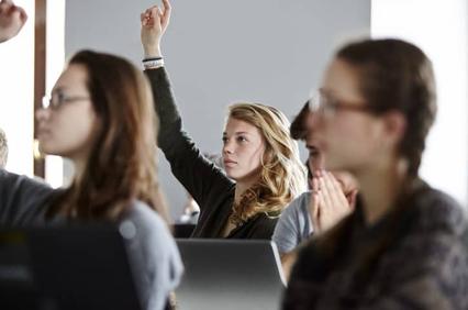 Bachelor of Laws - First year - Study Plan