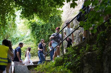 A group of people walking up a set of stone steps surrounded by greenery.