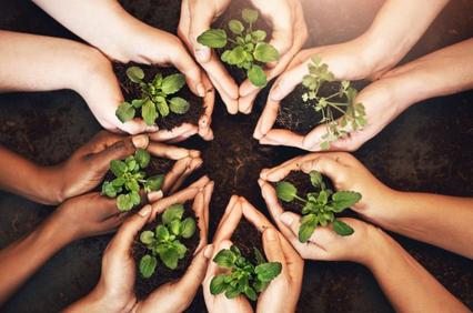 A circle of hands holding small plants and soil.
