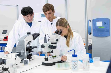 Three students are examining samples under a microscope in a laboratory setting.