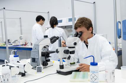 A young scientist is examining a sample under a microscope in a laboratory setting.