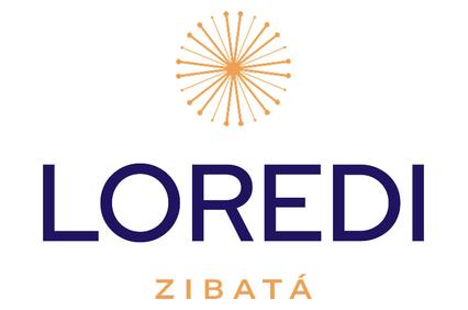 This image features a logo that combines the name 'LOREDI' with a decorative sunburst design above it.