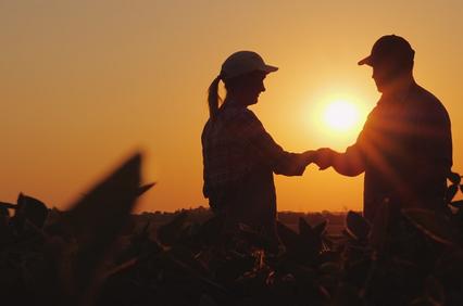 people in a sunset
