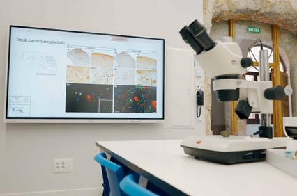 A laboratory setting featuring a microscope and a large screen displaying scientific images.