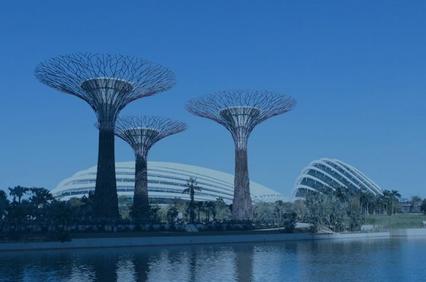 A view of three futuristic tree-like structures and two domed buildings beside a water body under a clear sky.