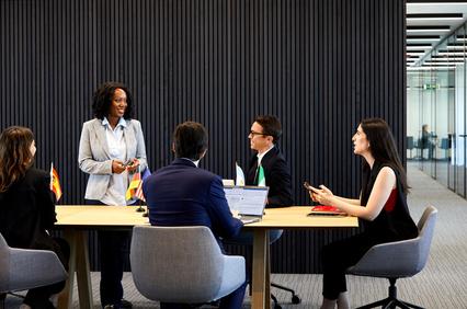 A diverse group of professionals engaged in a meeting in a modern office.