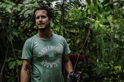 A man standing in a lush green forest holding a small plant with gardening gloves on.