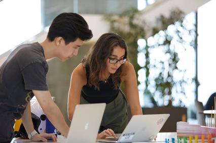 Two individuals are collaborating over laptops in a modern workspace.