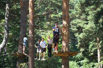 A group of people participating in a treetop adventure activity.