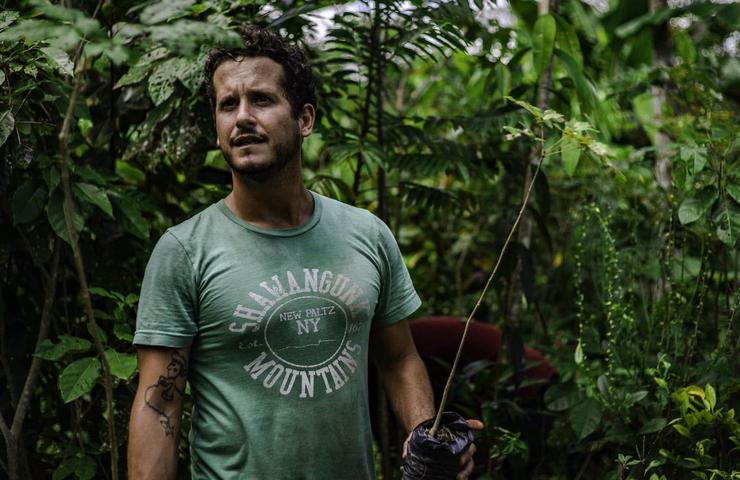 A man standing in a lush green forest holding a small plant with gardening gloves on.