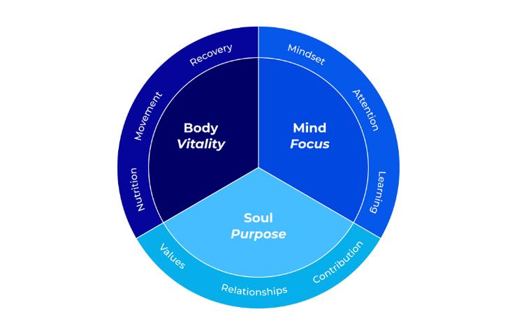 A circular diagram illustrating the connection between Body, Mind, and Soul for overall vitality and focus.