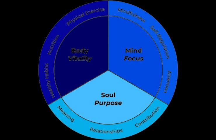 A circular diagram divided into three main sections labeled Body Vitality, Mind Focus, and Soul Purpose, each containing related elements such as Physical Exercise, Mindfulness, and Relationships.