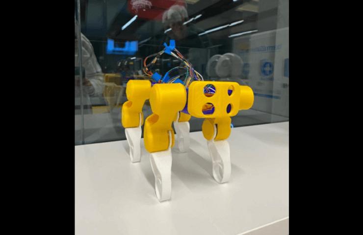 Botzo, IE University’s first robot dog | IE University