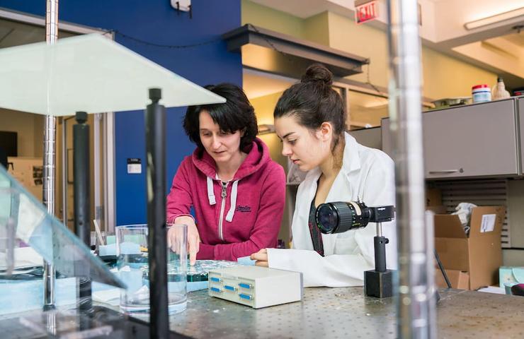Two women are working together in a laboratory setting, engaged in hands-on scientific activities.