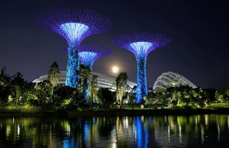 A nighttime view of illuminated tree-like structures at Gardens by the Bay in Singapore, with a reflecting body of water in the foreground.