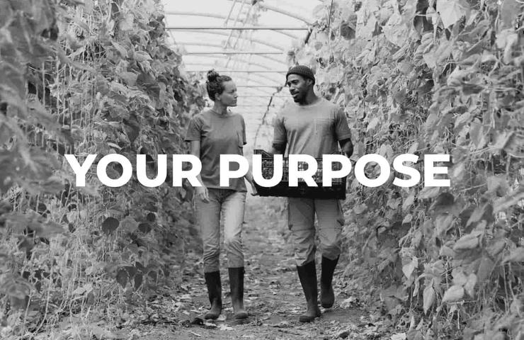 Two people walking between rows of tall crops in a greenhouse, with the words 'YOUR PURPOSE' superimposed in white text.