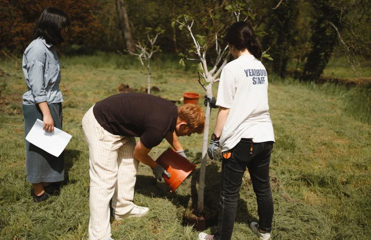 Three people are planting a young tree in a grassy area.