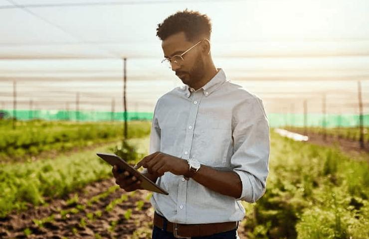 A man using a tablet in a field during sunset.