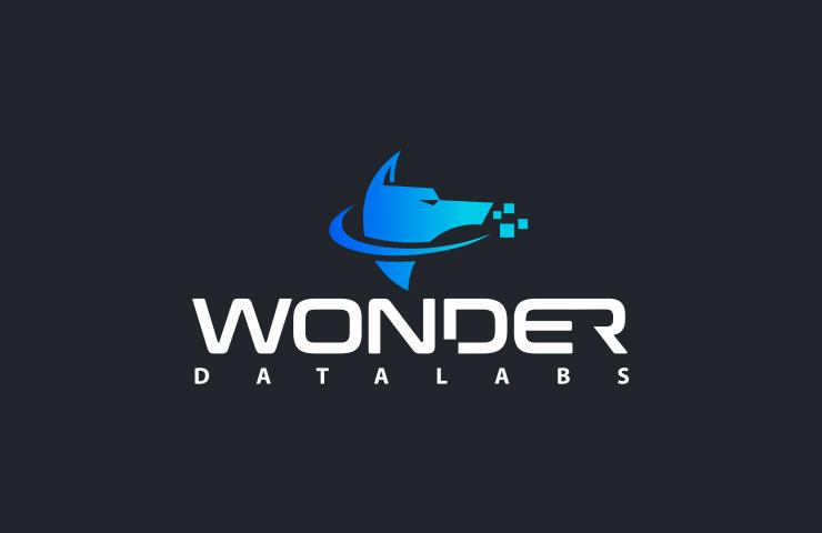 A modern logo with the text 'Wonder Datalabs' featuring a stylized blue shark with a digital pixel tail.