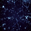 Bachelor in Applied Mathematics | IE