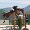 A rider on a horse jumping over a hurdle at an outdoor equestrian event.